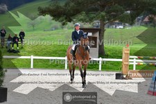 ref. photo 3560084