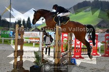 ref. photo 3560087