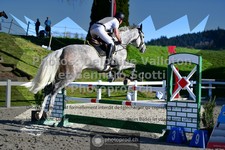 ref. photo 3560108