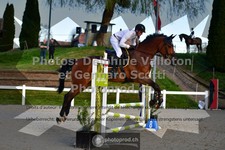 ref. photo 3560117
