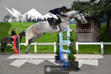 ref. photo 3560126