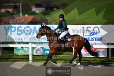 ref. photo 3560131