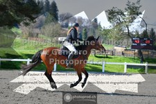ref. photo 3560132