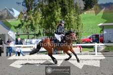ref. photo 3560134