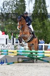 ref. photo 3560146