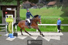 ref. photo 3560150