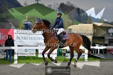 ref. photo 3560151
