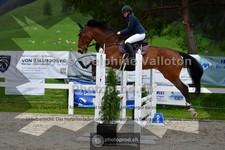 ref. photo 3560152