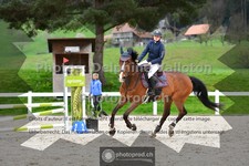 ref. photo 3560153