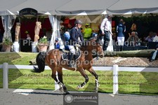 ref. photo 3560190