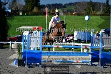ref. photo 3560191