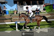 ref. photo 3560196