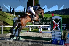 ref. photo 3560206