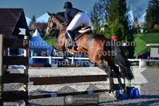 ref. photo 3560208