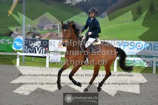 ref. photo 3560237