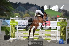 ref. photo 3560242