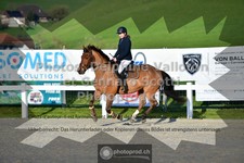 ref. photo 3560246