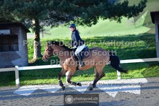ref. photo 3560255