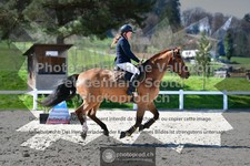 ref. photo 3560256