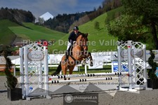 ref. photo 3560259