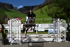 ref. photo 3560275