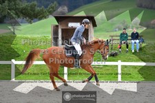 ref. photo 3560298
