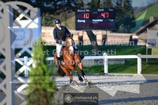 ref. photo 3560299