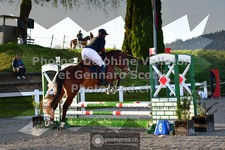 ref. photo 3560304