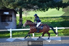 ref. photo 3560306