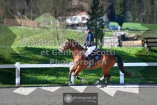 ref. photo 3560308