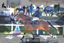 ref. photo 3560315