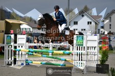 ref. photo 3560320