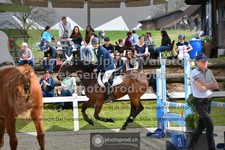 ref. photo 3560324