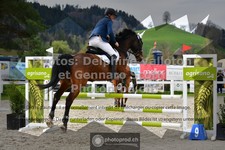 ref. photo 3560329