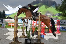 ref. photo 3560343