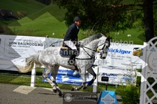 ref. photo 3560379