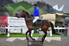 ref. photo 3560410