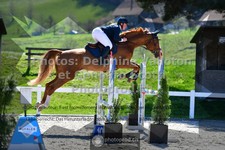 ref. photo 3560453