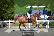 ref. photo 3560454