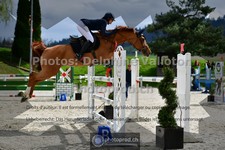 ref. photo 3560478