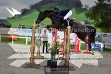ref. photo 3560484