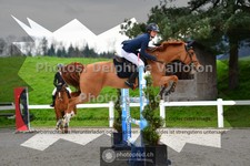ref. photo 3560502