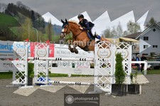 ref. photo 3560510