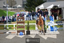 ref. photo 3560512