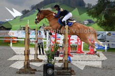 ref. photo 3560516
