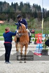 ref. photo 3560529