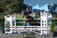 ref. photo 3560533