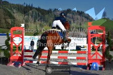 ref. photo 3560537
