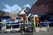 ref. photo 3560539