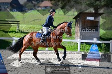 ref. photo 3560543